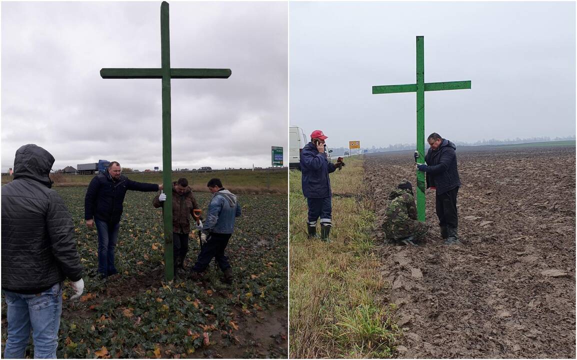 Kryžiai: Klaipėdos krašto ūkininkai per savaitę pakelėse pastatė apie pusšimtį žalių kryžių, reiškiančių jų protestą prieš didėsiančius mokesčius.