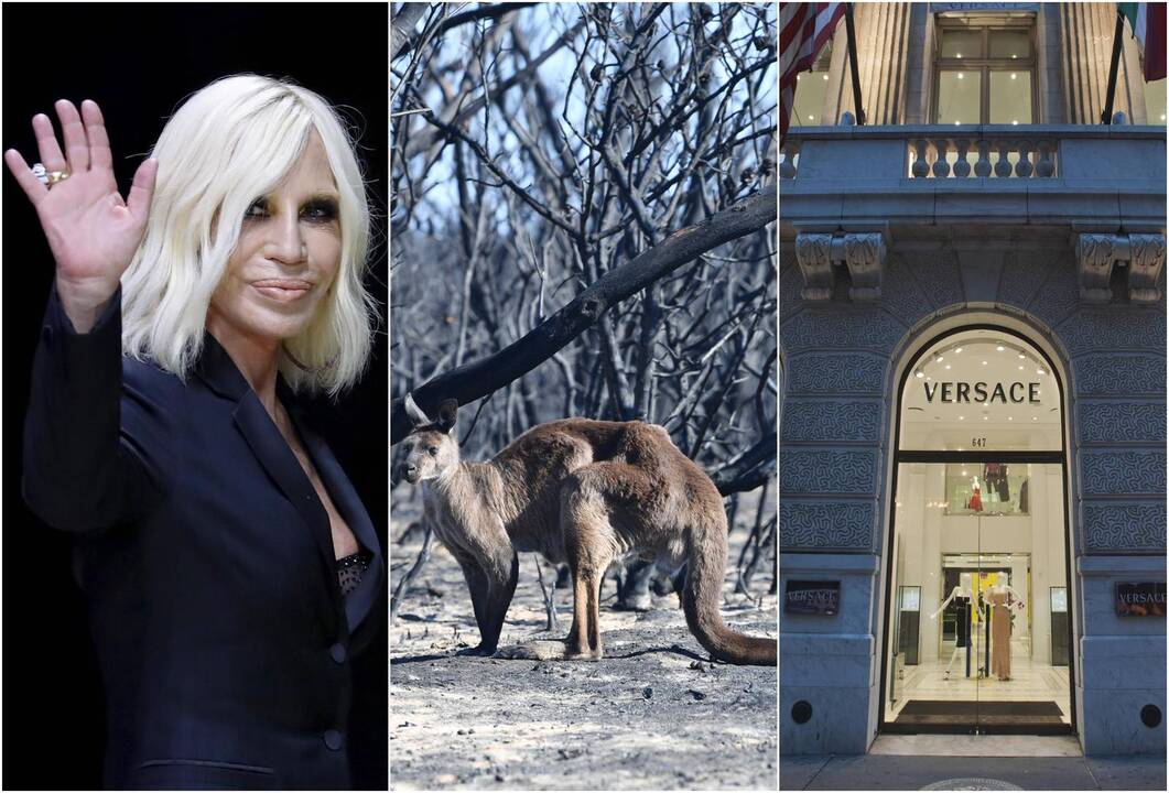 Dėl gaisrų Australijoje „Versace“ mados namai atsisako kengūrų odos