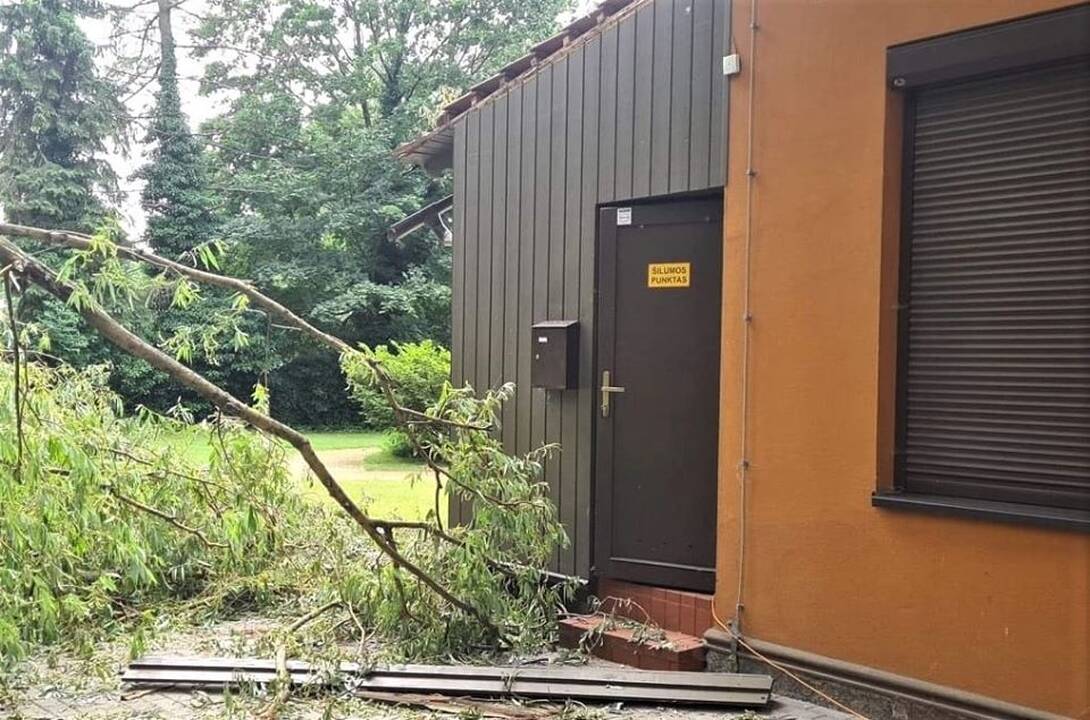 Klausimas: Tautinių kultūrų centro darbuotojai dar prieš pusmetį prašė miesto tvarkdarių pašalinti senus medžius Skulptūrų parke, tačiau atsakymo iš valdininkų nesulaukė. Dabar įstaiga skaičiuoja nuostolius.