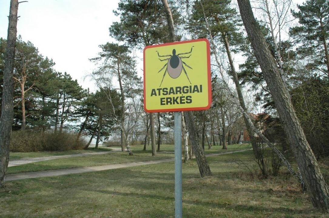 Pavojai: gyventojai įspėjami dėl rudenį didėjančio erkių aktyvumo.