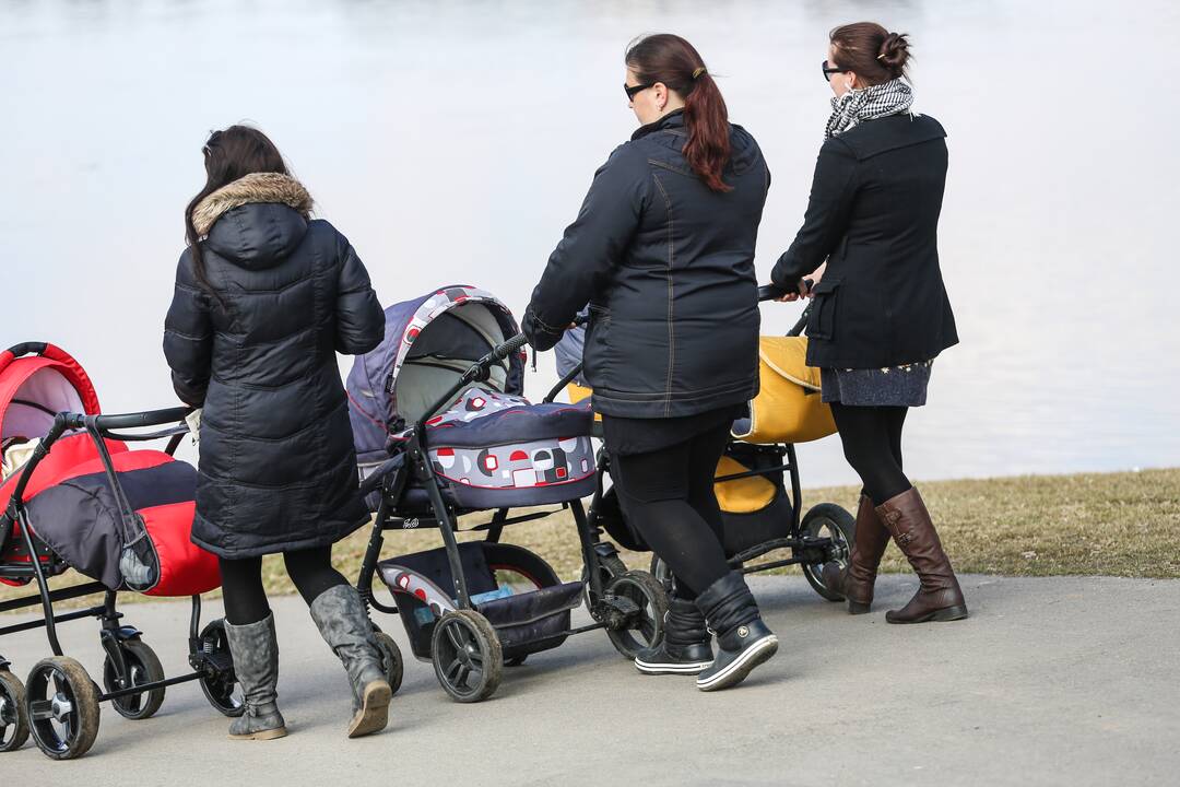 Hipotezė: jei kiekviena jauna šeima augintų šešis ar septynis vaikus, išnykimo procesą veikiausiai pavyktų sustabdyti.