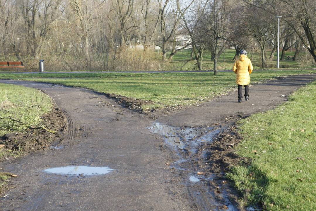 Netvarka: klaipėdiečiai piktinasi subjaurotais žolynais ir purvinais takais.