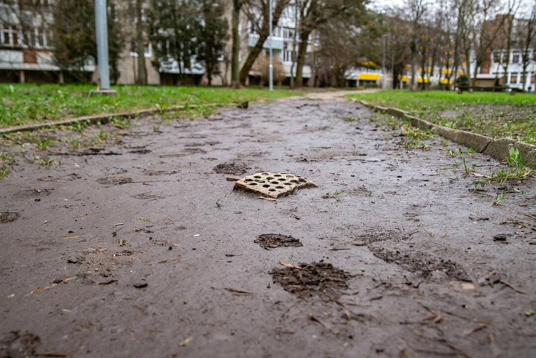Planai: šios erdvės sutvarkymas įtrauktas į savivaldybės planuojamų darbų sąrašus.