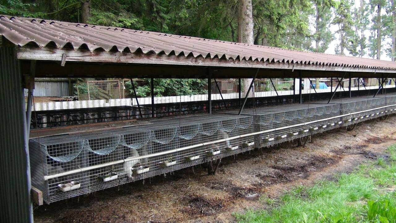 Slovakijoje viešintas tyrimas