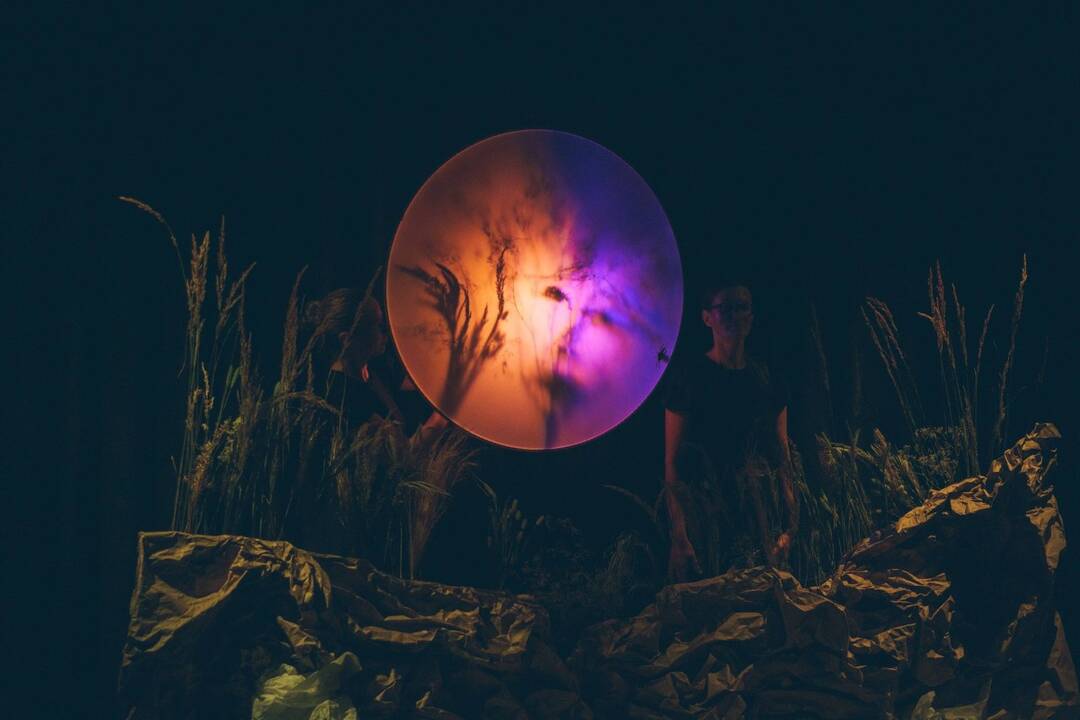 Scena iš spektaklio „Padarėliai“ (Pojūčių teatras, Lietuva).