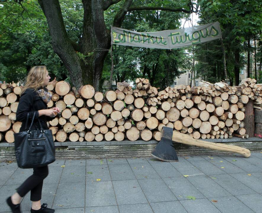 Dėl brangstančių malkų ir biokuro socialdemokratai kelia klausimą premjerui