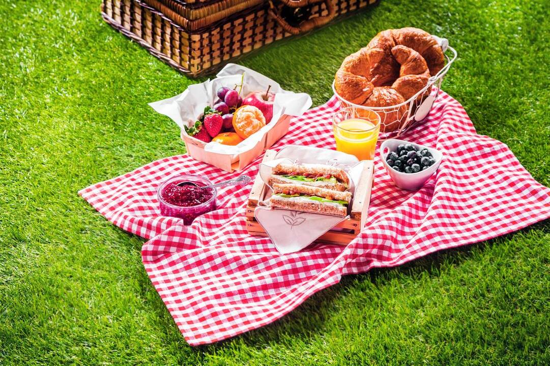 Minime tarptautinę pikniko dieną: ko galime pasimokyti iš maisto mylėtojų prancūzų?