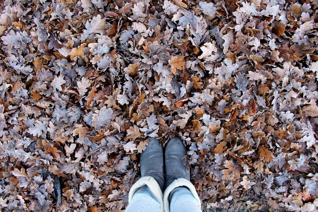 Orai Lietuvoje: lietus ir žvarbus vėjas dar nesitrauks, naktimis numatomos šalnos