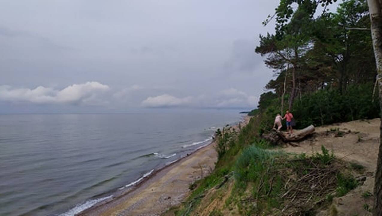 Kerta: Olando Kepurės skardžio prieigose šalinami pavojų keliantys medžiai.
