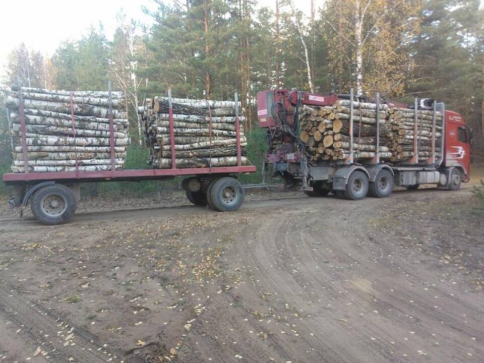 Lenkas miškovežiu gadino žvyrkelį