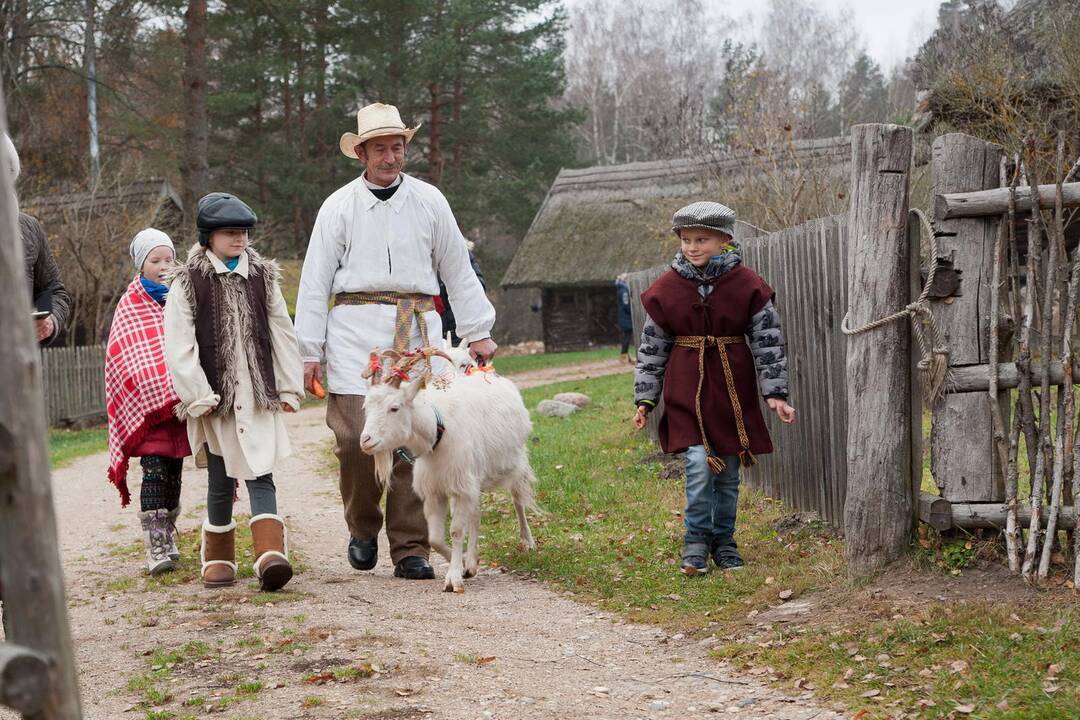 Akcentas: senosiose tradicijose svarbu ne tik koks gyvulys, bet ir kokios jis spalvos – bandyti prišaukti žiemą galima tik pasitelkus į pagalbą baltą ožį.