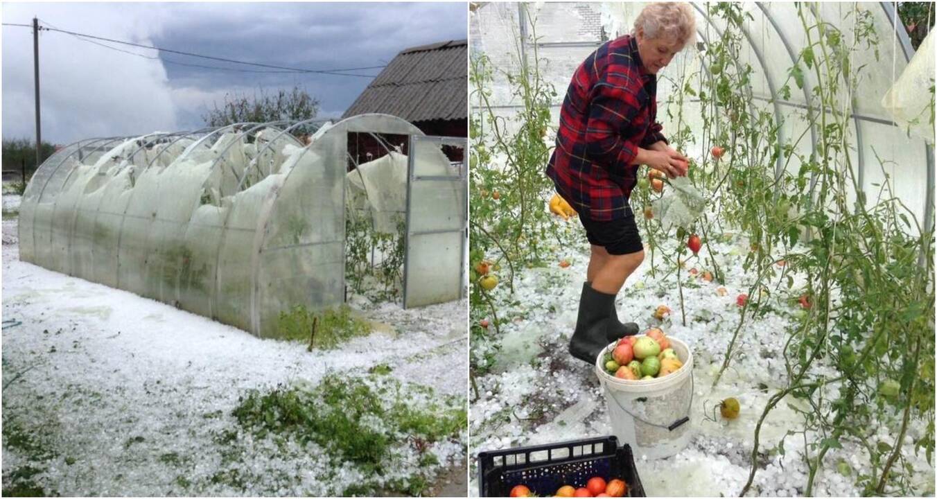 Vidurvasarį į Baltarusiją atėjo žiema: kruša išdaužė langus ir sunaikino derlių