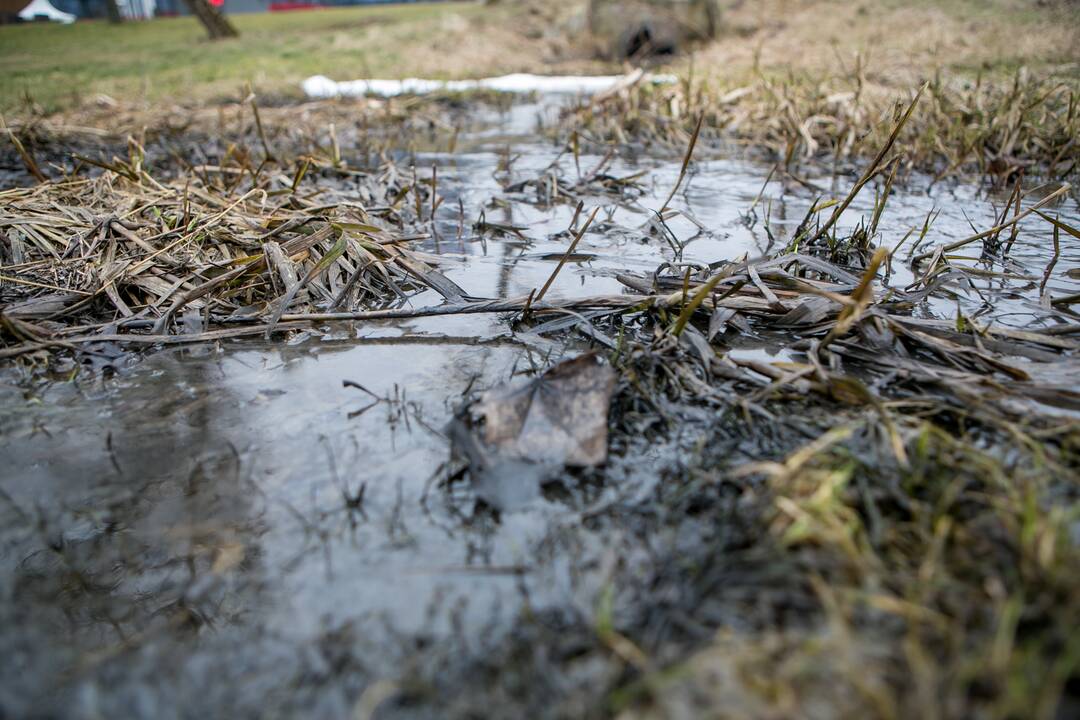 Kaune į Nerį išsiliejo teršalai