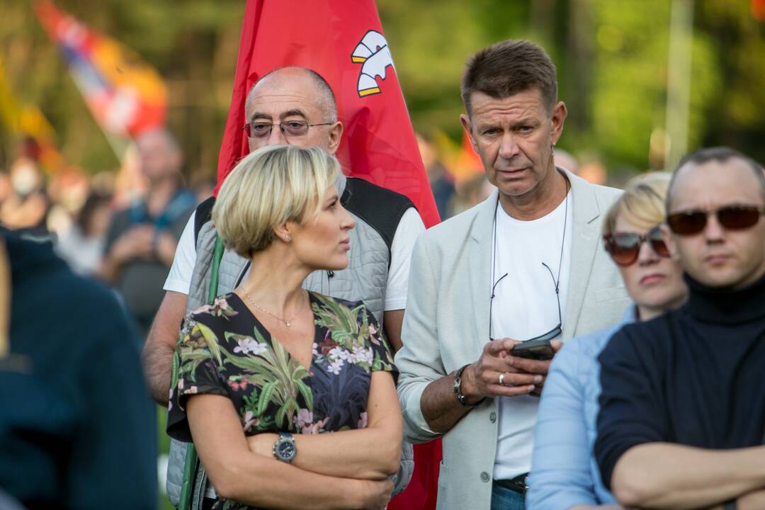 „Didysis šeimos gynimo maršas“ Vingio parke
