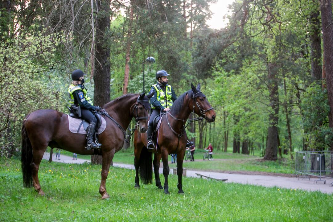 „Didysis šeimos gynimo maršas“ Vingio parke
