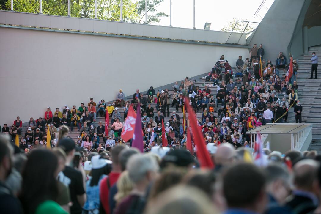 „Didysis šeimos gynimo maršas“ Vingio parke