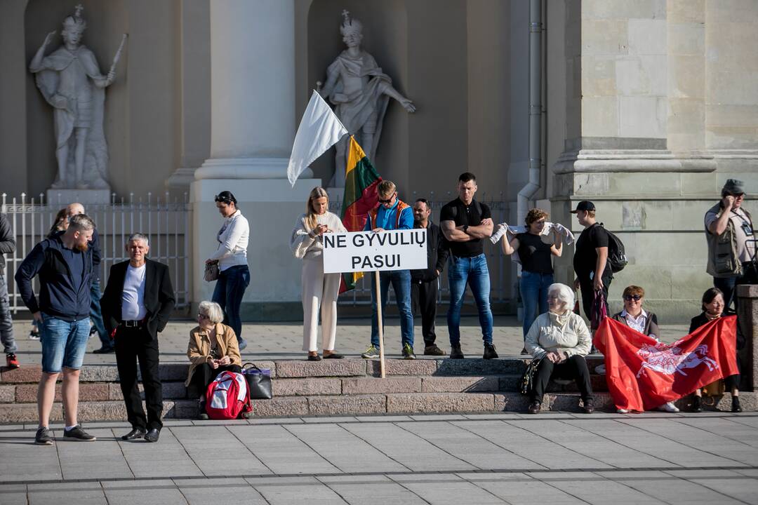 Žmonės renkasi į Šeimų sąjūdžio mitingą prie Katedros
