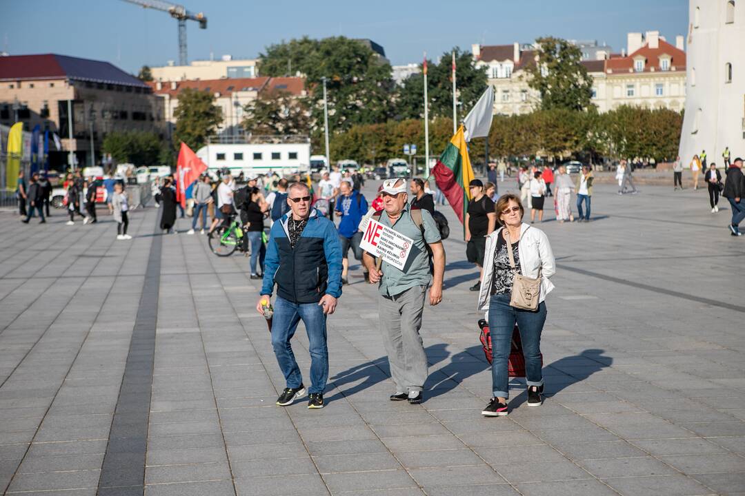 Žmonės renkasi į Šeimų sąjūdžio mitingą prie Katedros