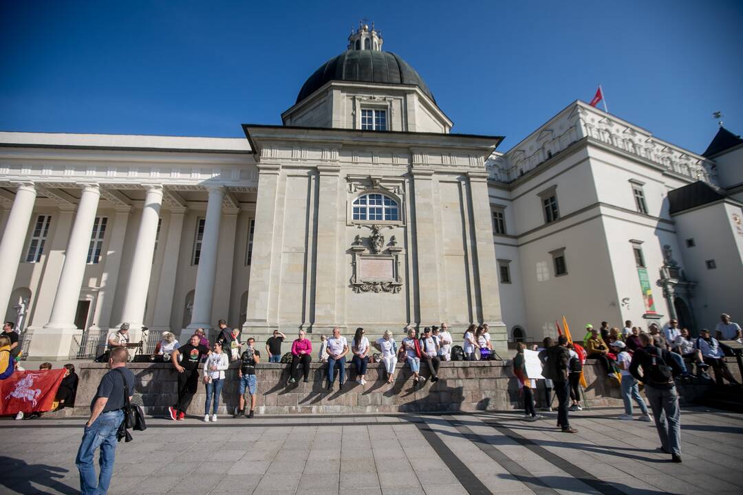 Žmonės renkasi į Šeimų sąjūdžio mitingą prie Katedros