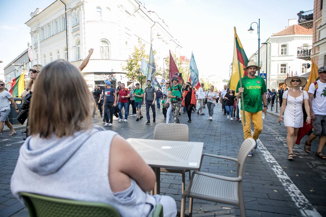 Dalis mitinguotojų iš Katedros aikštės patraukė link Seimo