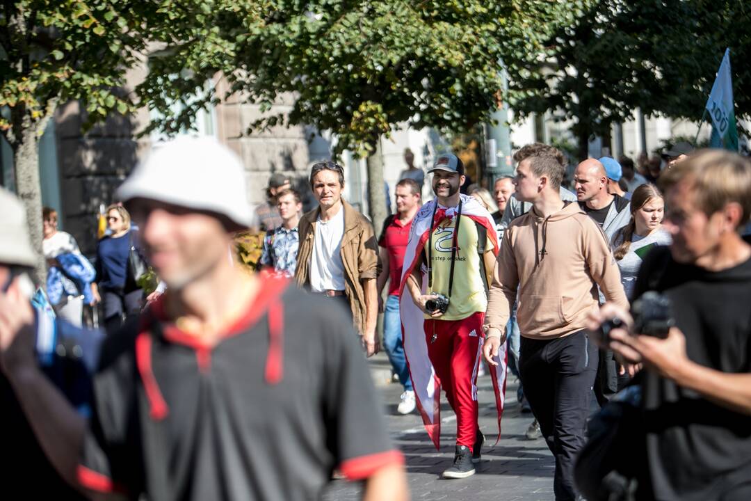 Dalis mitinguotojų iš Katedros aikštės patraukė link Seimo