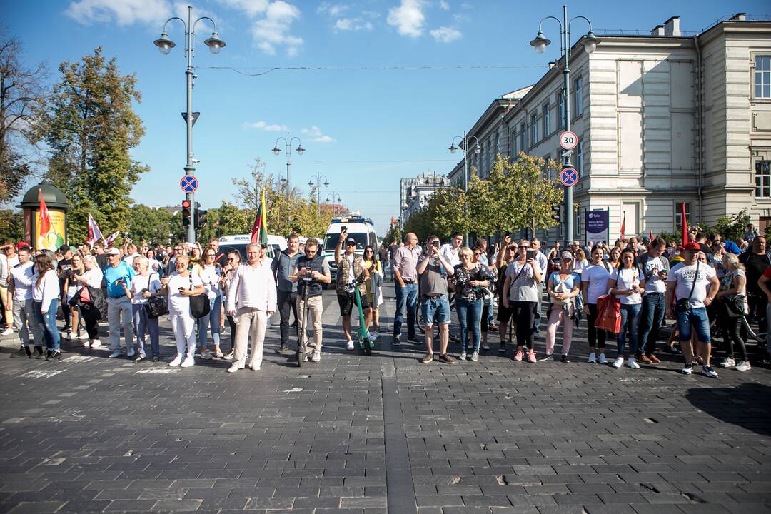 Dalis mitinguotojų iš Katedros aikštės patraukė link Seimo