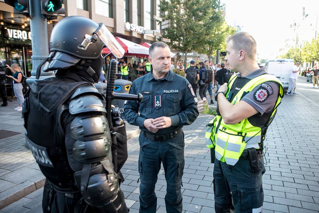 Dalis mitinguotojų iš Katedros aikštės patraukė link Seimo