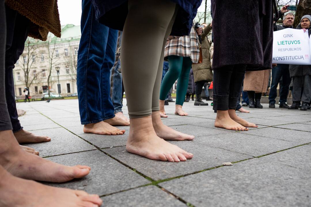 Protestas Vilniuje prieš galimybių pasą vaikams