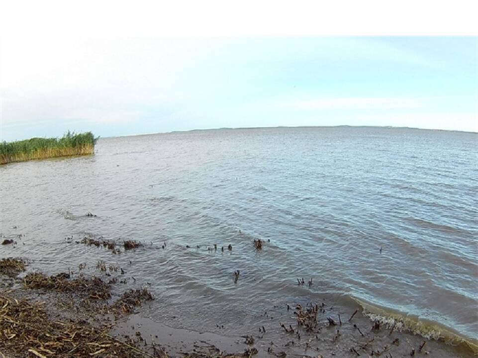 AAD: žalos Kuršių marių akvatorijos dalyje kaina – daugiau nei 12,5 tūkst. eurų