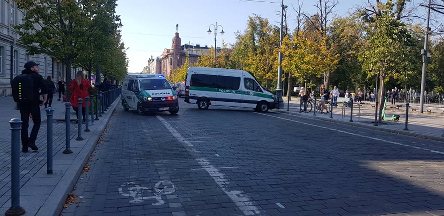 Dalis mitinguotojų iš Katedros aikštės patraukė link Seimo