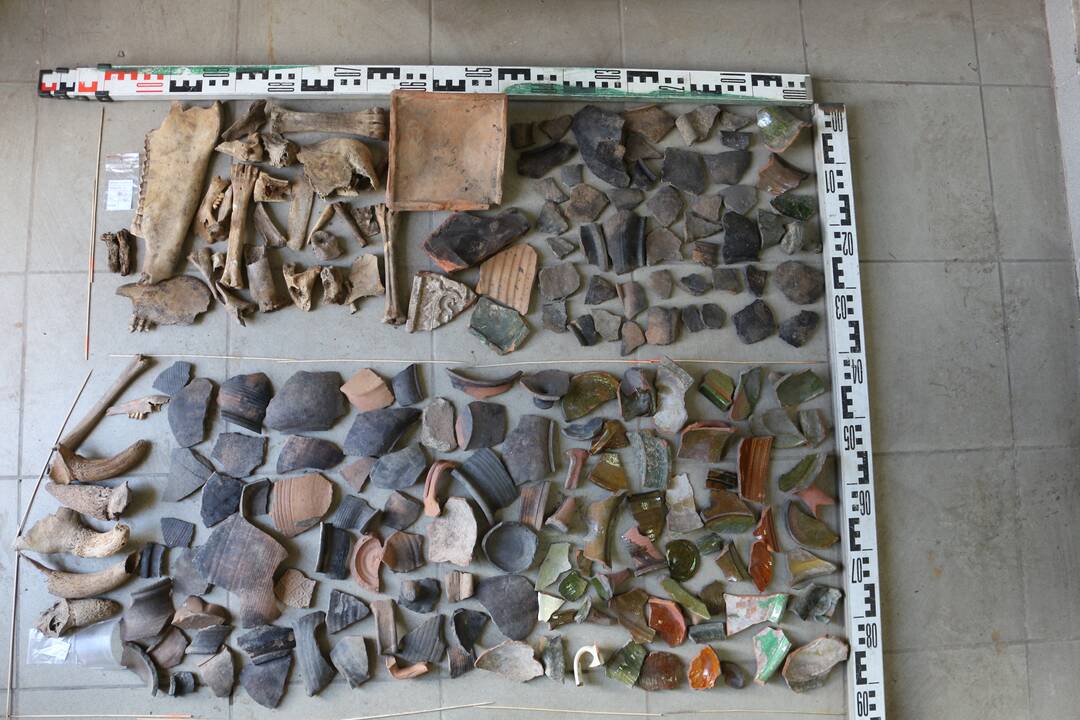 Darbai: archeologinių tyrimų perkasos.