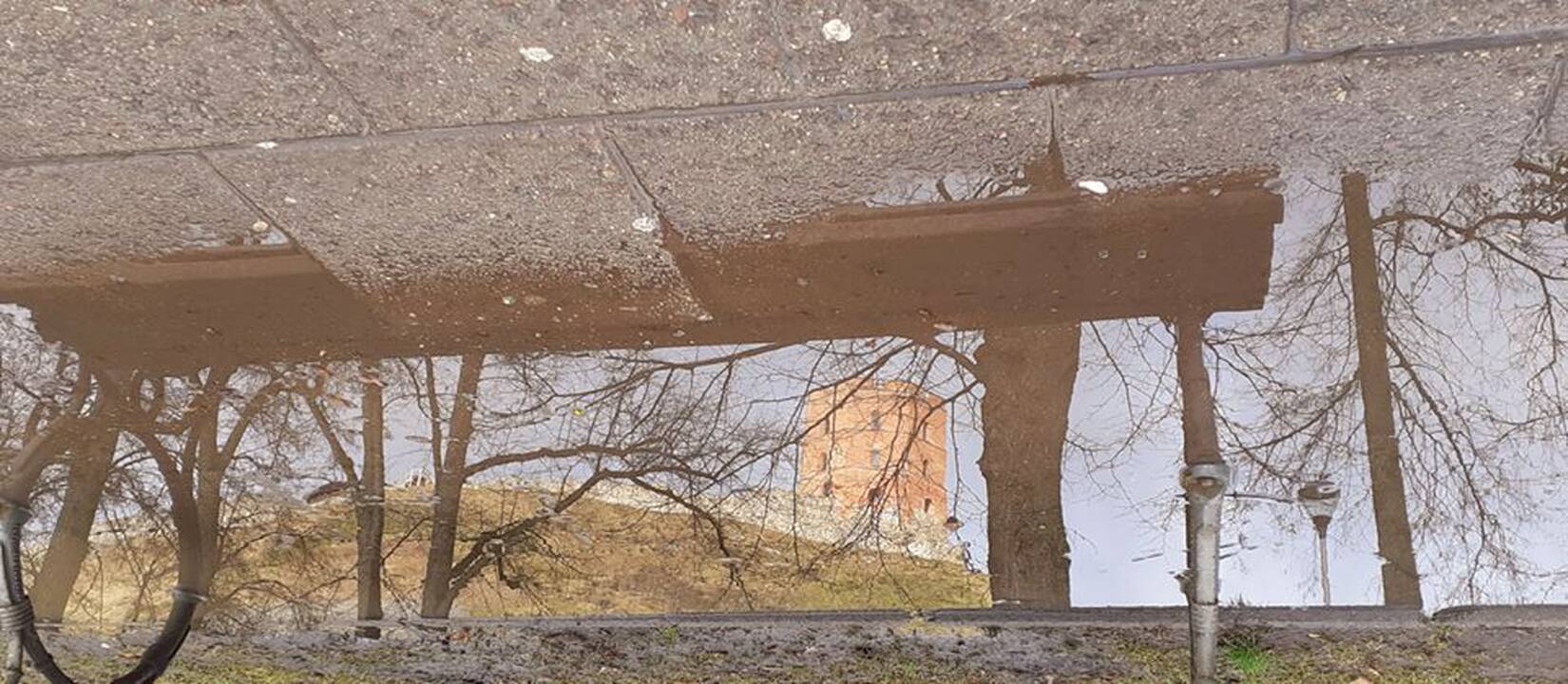 Hobis: Viliaus Alesiaus pietų pertraukos užsipildė nauju atradimu – balų ieškojimu ir fotografavimu.