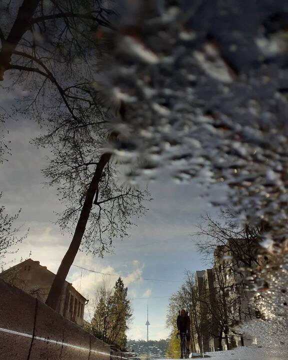 Hobis: Viliaus Alesiaus pietų pertraukos užsipildė nauju atradimu – balų ieškojimu ir fotografavimu.