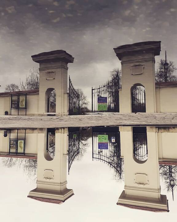 Hobis: Viliaus Alesiaus pietų pertraukos užsipildė nauju atradimu – balų ieškojimu ir fotografavimu.