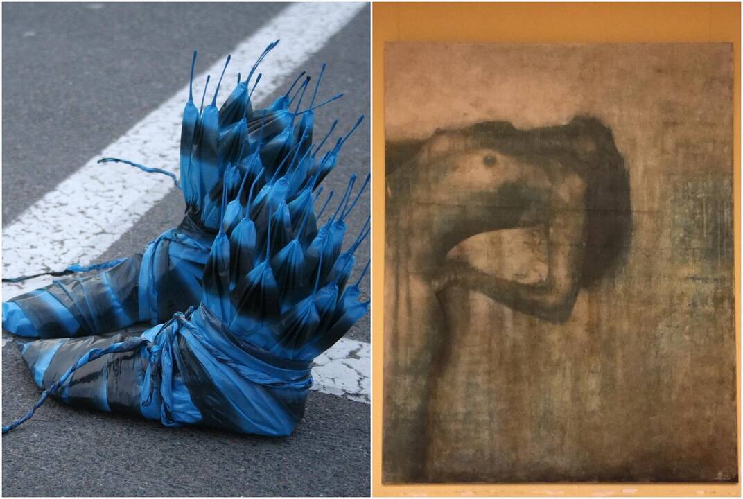 Aušra Kleizaitė "Shoes in Blue" ir Mindaugas Juodis "Moteris"