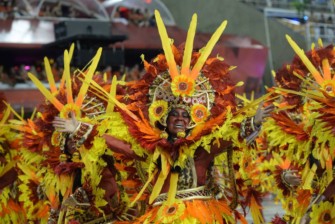 Asociatyvi nuotr.