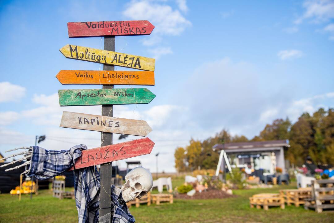 Helovino parkas pakaunėje