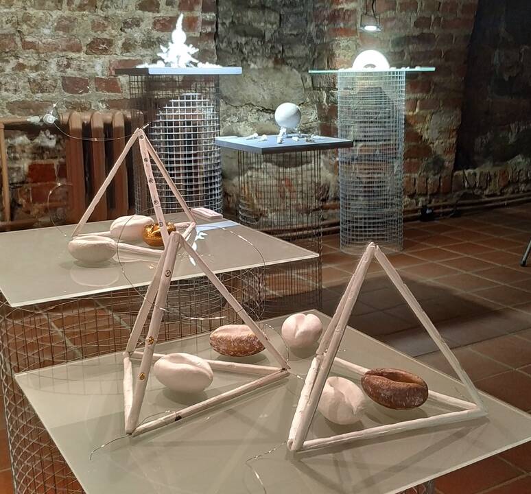 Živilė Bardzilauskaitė-Bergins. Prisiminimas iš dabarties.