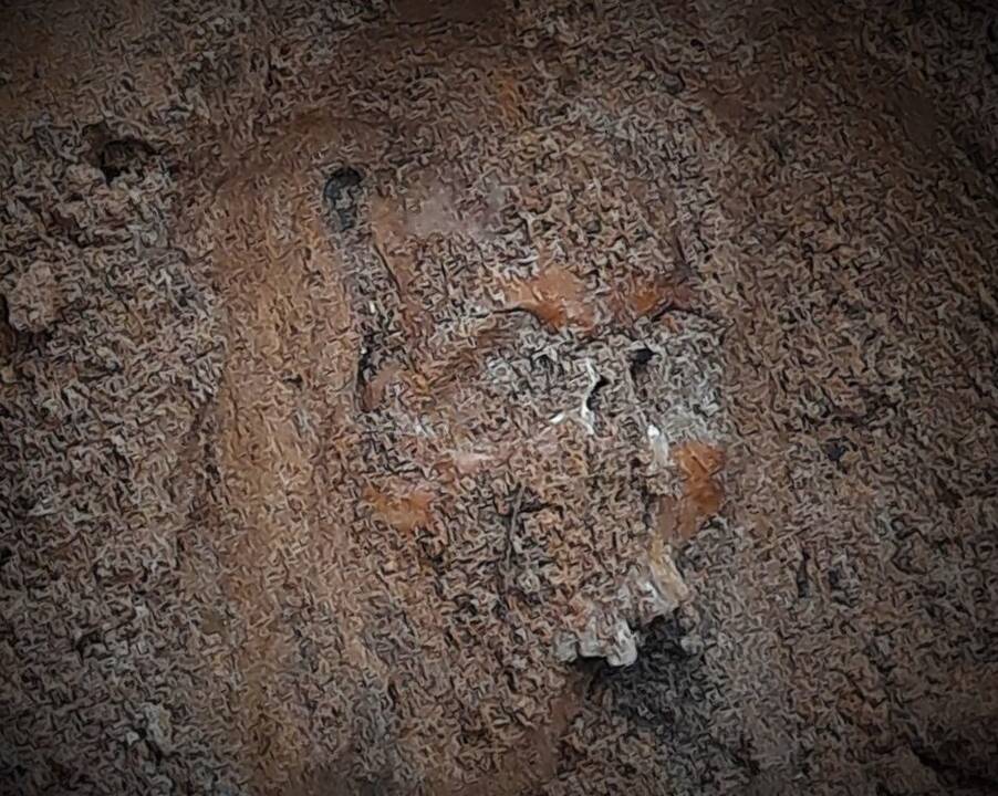 Asociatyvi nuotr.