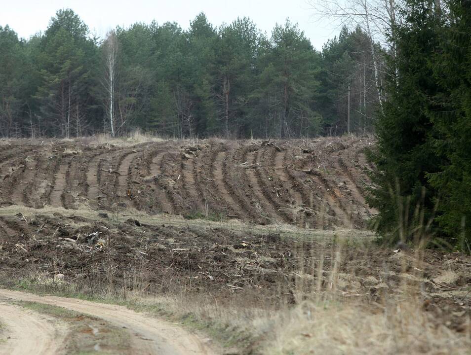 Asociatyvi nuotr.