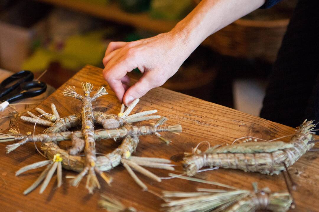 Žiemos tamsą ir darganą nušviečia kvapnūs žolynukai