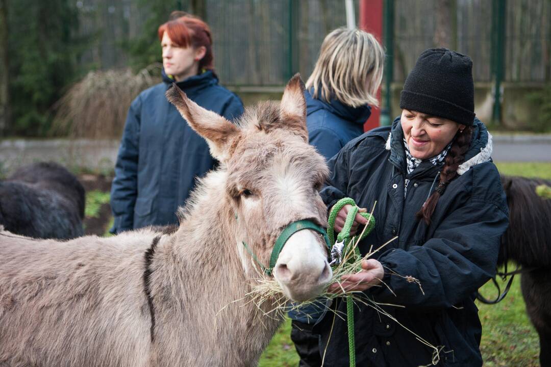 Zoologijos sode šventė