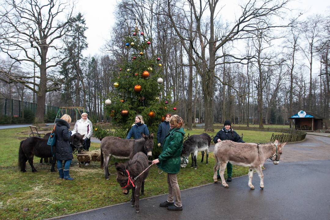 Zoologijos sode šventė