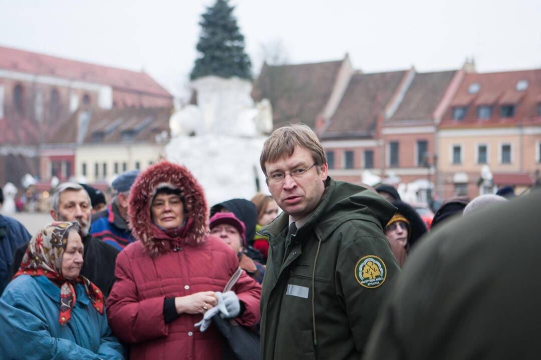 Eglučių šakų dalinimas Rotušės aikštėje