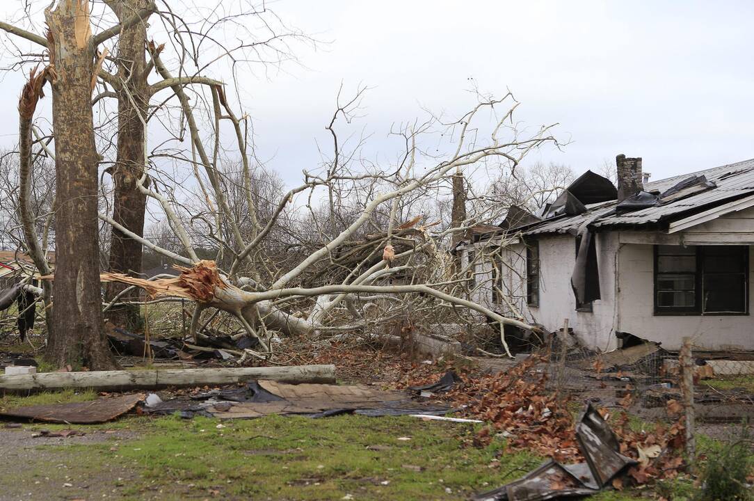 Tornadai Teksase pareikalavo aštuonių gyvybių