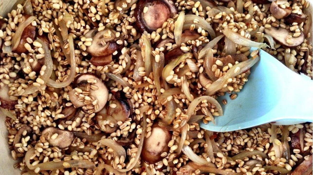 Perlinių kruopų ir džiovintų baravykų kruopainis
