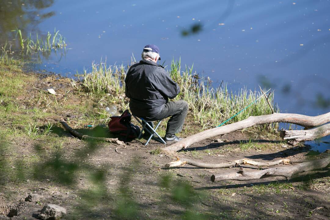 Dėmesio – baigiasi lašišų ir šlakių žvejyba