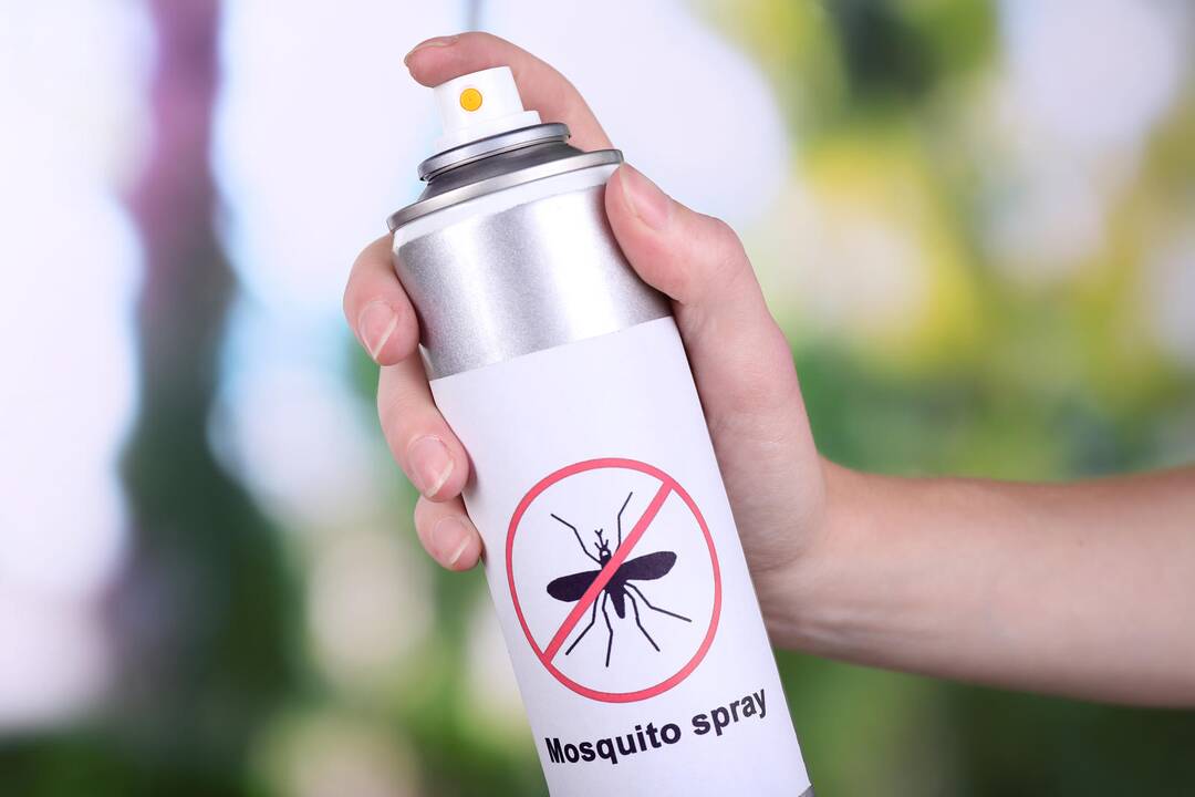 Gyventojus puola nepažįstamos rūšies vabzdžiai