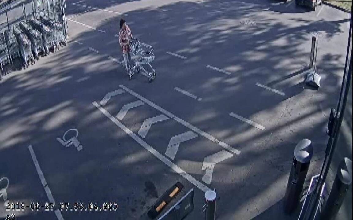 Alytaus prekybos centre dingo piniginė (ieškoma moteris gali padėti tyrimui)