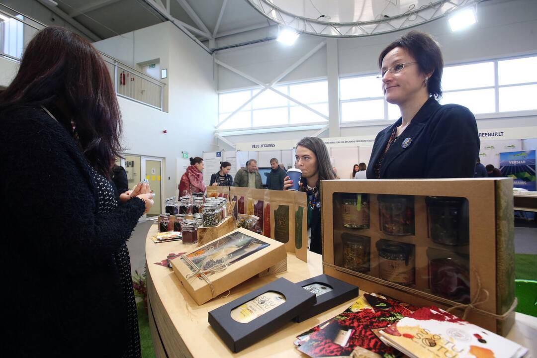 Inovacijų paroda „Inno panorama 2019“